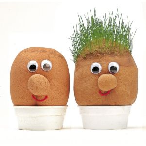 grow-your-own-mr-grass-head-indoor-outdoor-fun-toy-11263-p